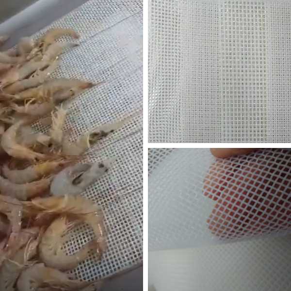 recorte de imagem com os exemplos do uso da esteira mosquiteira para pescado